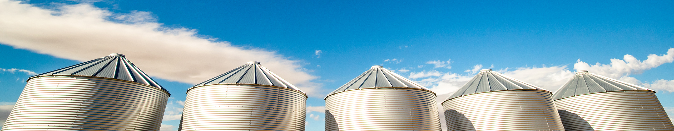 top of grain bins against a blue sky