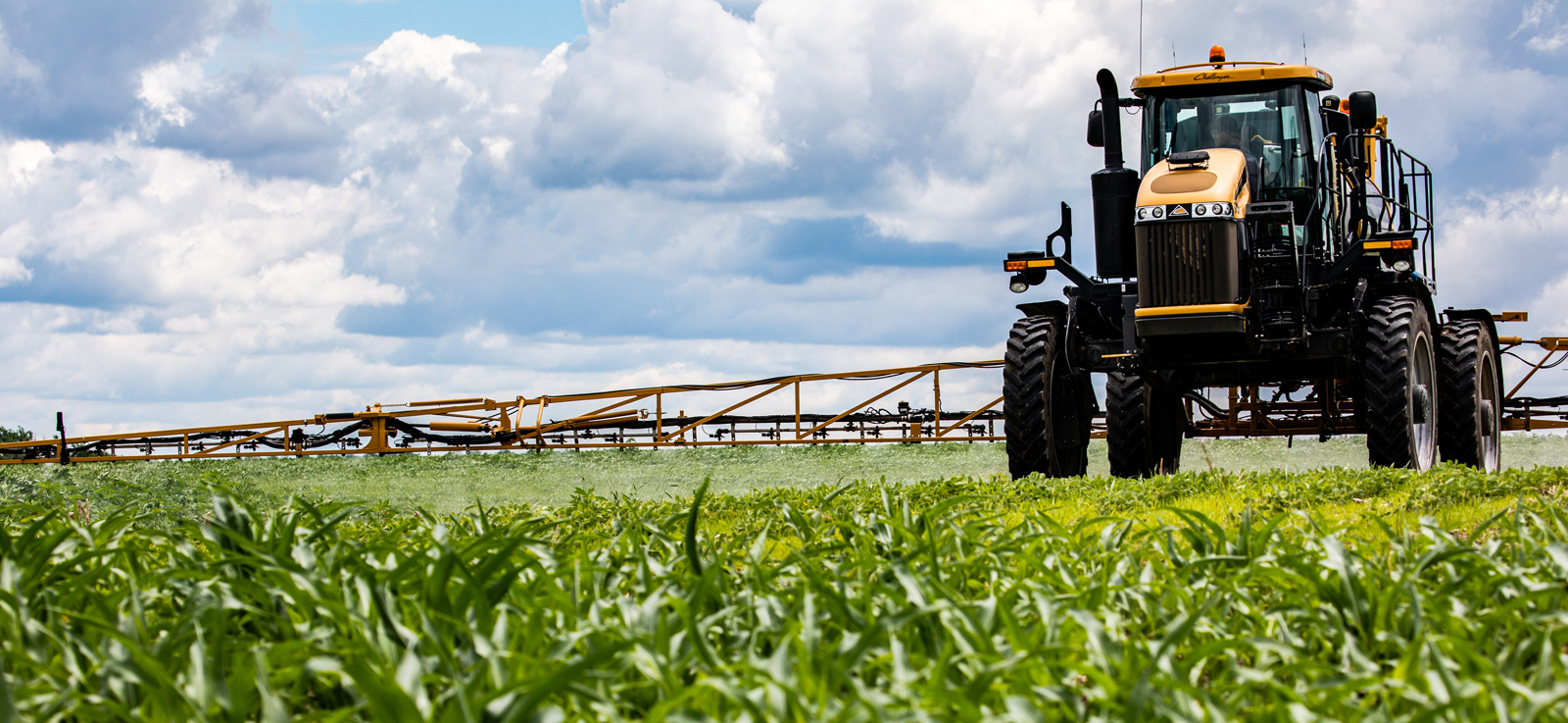 Crop sprayer in a soybean field