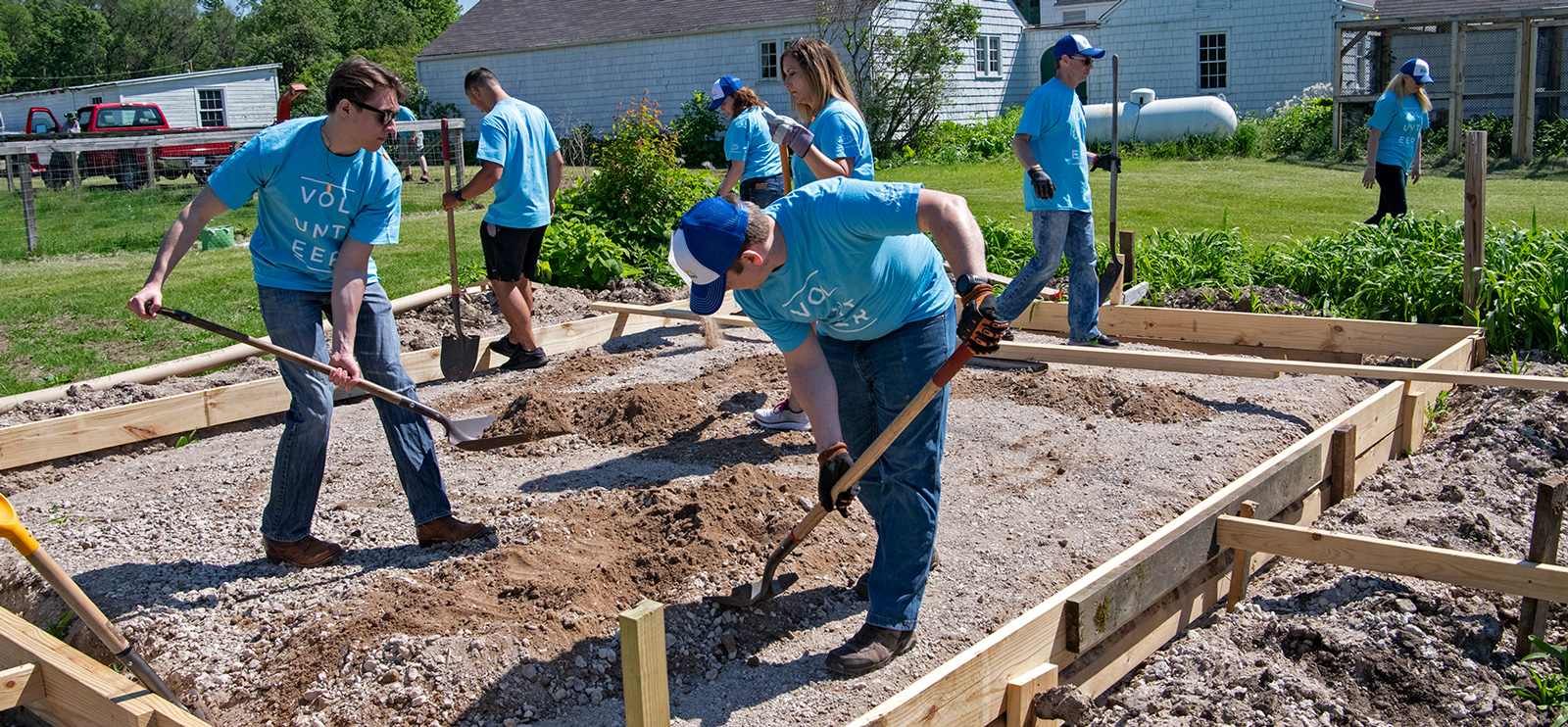 Group of people digging plots in a community garden