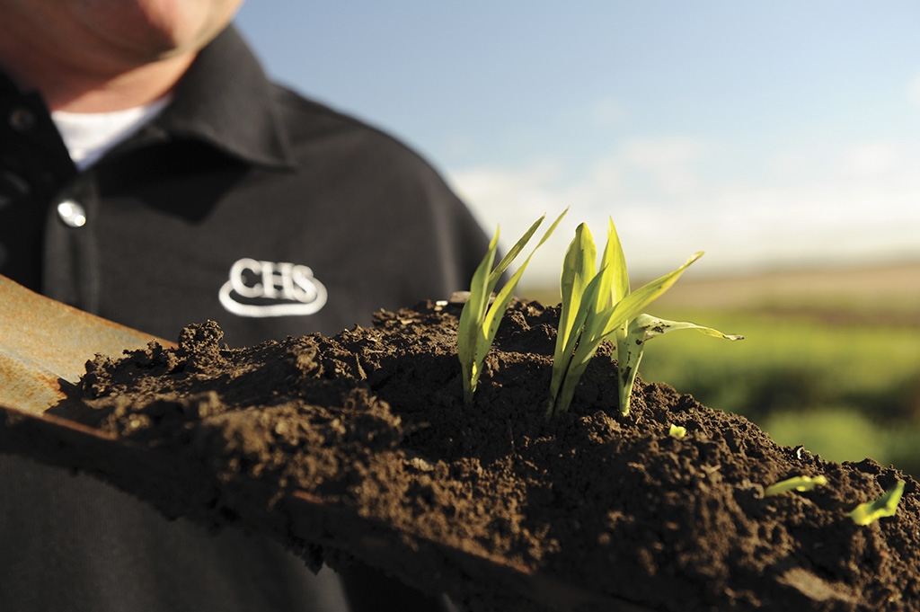 Man holding a trowel with seedlings growing out of soil