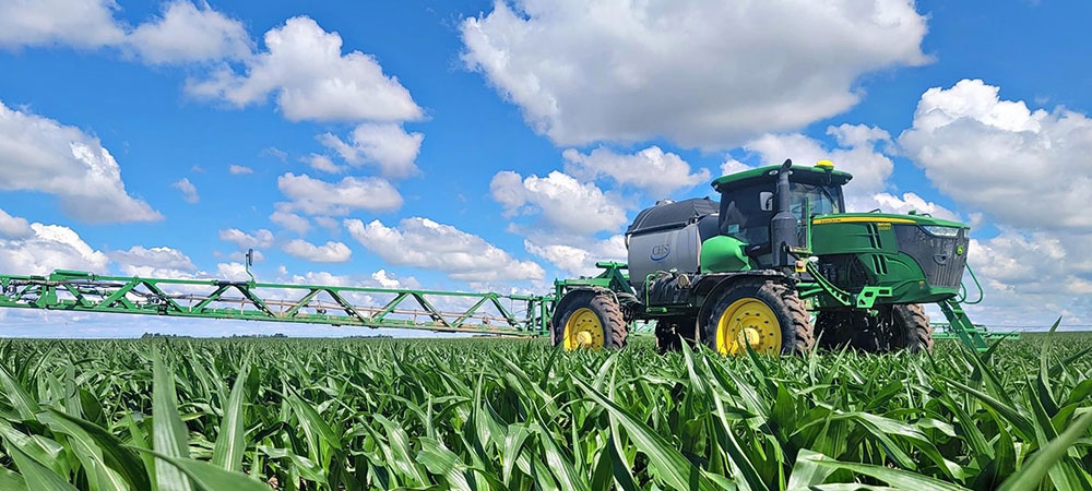 a sprayer in a corn field