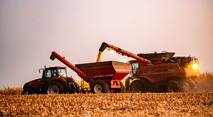 Corn being harvested at dusk.