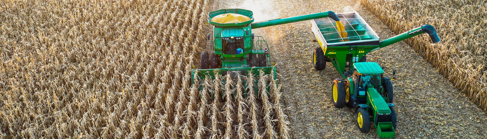 Combine and grain cart in a field during corn harvest.